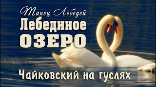 Чайковский Лебединое Озеро на... гуслях! Лебединый танец под музыку Чайковского.