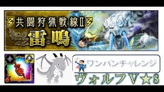 共闘狩猟戦線Ⅱ【雷鳴】ヴォルフで硬膜をワンパンできるのか？