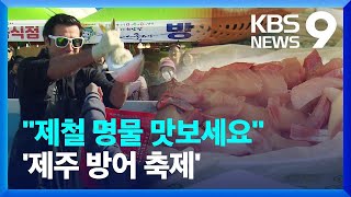 “제철 방어 맛보세요”…제주 최남단 방어축제 [9시 뉴스] / KBS  2024.11.30.