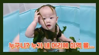 아기힐링 | 이게 무슨일???!? 누가 내 머리에 미역을? 누구니? ! Get some healing with the cute babies