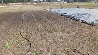 Direct seeded arugula, kale, carrots and radish...a nut vibrated off a bolt on our BCS. easy fix.