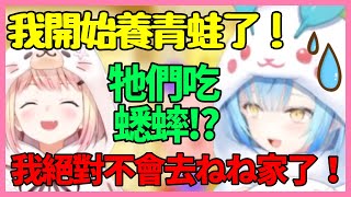 Nene和拉米聊到最近養了青蛙！因為一點,拉米果然嚇到不敢去Nene家了w【桃鈴ねね/雪花ラミィ/ホロライブ】【Vtuber遜炮中翻】