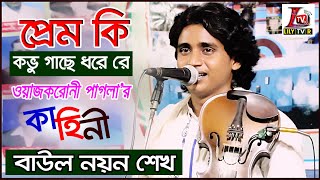 প্রেম কি কভু গাছে ধরে রে II ওয়াজকরোনী পাগলার কাহিনী II নতুন সুরে গাইলেন বাউল নয়ন শেখ II Lily Tv R