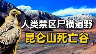 人类禁区昆仑山死亡谷，简直尸山遍野，83年考察队发现了神之力？