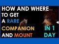 NEVERWINTER PS4 HOW TO GET A RARE MOUNT AND COMPANION IN 1 DAY NEVERWINTER PS4 HOW TO GET A RARE MOUNT AND COMPANION IN 1 DAY