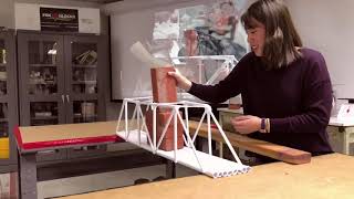 Bridge Paper Test