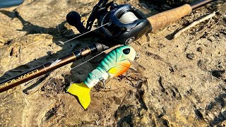Big Bass Crushed Throwback Baits Cheat Code