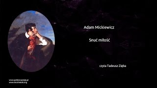 Adam Mickiewicz - Snuć miłość