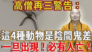 高僧再三警告：這4種動物是陰間鬼差，一旦出現，就代表有人陽壽將近，一定要注意#禪語 語