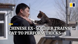 Chinese ex-soldier trains cat to perform tricks