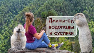 ДЖИЛЫ-СУ. Кормим сусликов и любуемся водопадами. Ночуем в палатках в сосновом лесу.