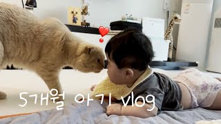 [vlog]육아브이로그ㅣ고양이🐱와 아기👶🏻, 식당마트외출, 뒤집기일상🐥