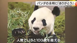 パンダの永明に多くのファンが花「ありがとう」　アドベンチャーワールドに献花台　 (2025/02/15 17:13)