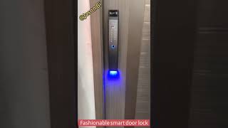 全自动智能锁Fashionable smart door lock