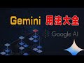 【男保姆教程】Google Gemini使用方法大全，讲清在Google Ai Studio使用Gemini的不同场景！学会Gemini pro API免费超强多模态！