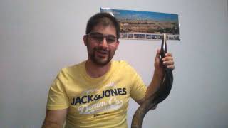 Segunda clase: ejercicios de respiración 🌬️ - Clases de Shofar 2019 - ShabbatShofar