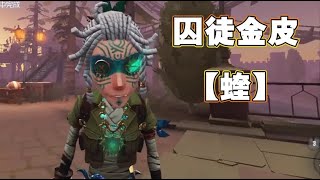 囚徒金皮【蝰】展示视频！