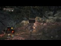 dark souls 3 舌頭劍草刷刷刷~終於各有30個功成身退