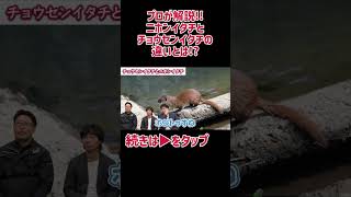 【プロが解説！！】ニホンイタチとチョウセンイタチの違いとは！？