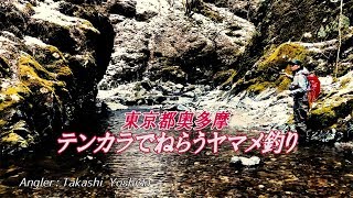 東京都奥多摩・テンカラでねらうヤマメ釣り