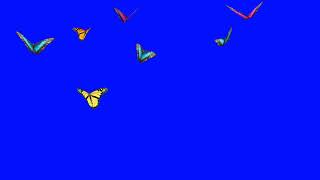 #Hd #butterfly blue screen free download no (copyright)