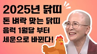 2025년 닭띠 돈 벼락 맞는 닭띠 음력 1월달 부터 세운으로 바뀐다.생활#법문[보현스님TV ]