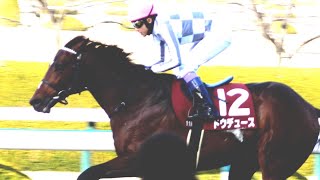 【武豊】ドウデュース 最強の鞍上を迎えて有馬記念へ