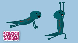 Salamander Yoga - Now with Tiny Flying Alligators! | 5-minute Yoga Break | Scratch Garden