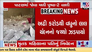 Illegal transportation of Red Sandalwood busted in Patan, accused nabbed | Tv9Gujarati