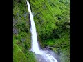 बिर्थी वाटर फॉल पिथौरागढ़ जनपद birthi falls munsiyari uttarakhand