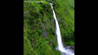 बिर्थी वाटर फॉल पिथौरागढ़ जनपद | Birthi Falls | Munsiyari Uttarakhand