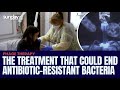 Treatment That Could End Antibiotic-Resistant Bacteria