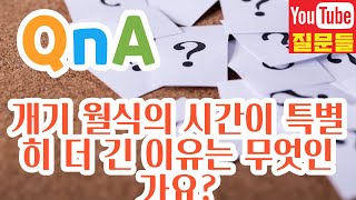 개기 월식의 시간이 특별히 더 긴 이유는 무엇인가요?