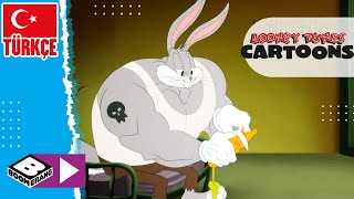 SEVİMLİ KAHRAMANLAR HİKAYELER | Bugs Bunny’nin Maceraları | Boomerang TV Türkiye
