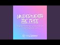 Underneath the Tree (Originally Performed by Kelly Clarkson)