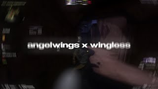 nl x sk33t hvh | highlights \u0026 angelwings debug | wingless ~ alpha