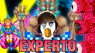 TERRARIA MODO EXPERTO: EXPERIENCIA COMPLETA