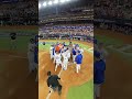 POV: You just hit a #walkoff home run in the #WorldSeries.