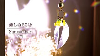 『癒しの60秒』サンキャッチャーの光 No.52　|　ミモザのサンキャッチャー　Suncatchers for Healing　～ Mimosa Suncatcher ～