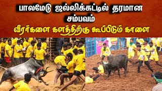 பாலமேடு ஜல்லிக்கட்டு வீரர்களை தெரிக்க விட்ட காளை, தரமான சம்பவம் #2024jallikattu #2024