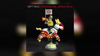 Gov't Mule -  \