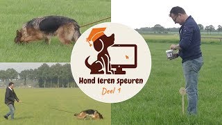 Hond leren speuren - IPO speuren aanleren