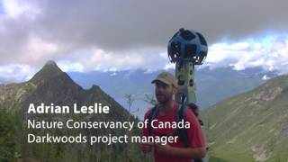 Mapping Darkwoods with Google Trekker