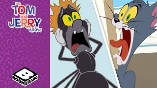 The Spider Catcher | Tom and Jerry | @BoomerangUK