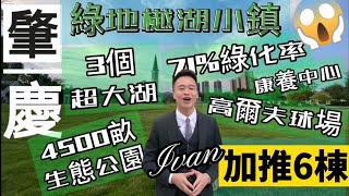 中軒地產 肇慶【綠地樾湖小鎮】 香港上市房企 總價65万起 1000呎無敵高爾夫景  4500畝生態大城  5分鐘高鐵回龍站