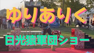 【ゆりありく　日光猿軍団ショー　くぅちゃん】神栖舞っちゃげ祭り前夜祭｜花火大会前イベント　2023年9月16日