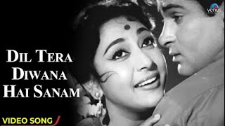 Dil Tera Diwana Hai Sanam | Dil Tera Deewana (1962) | Lata Mangeshkar, Mohd Rafi | Old Hindi Song