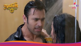 Naagini S3 | நாகினி S3|Episode 42 | After infecting Mahir  | மாஹிர் தொற்றுக்குப் பிறகு