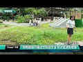 基隆 張耿輝 七堵瑪陵國小 生態園 瑪陵披薩窯 荷花 瑪陵 助瑪陵國小鋪設生態園步道 校方感謝張耿輝