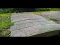 relaxing walk at kumano shrine 熊野神社 japanese peaceful shrine home of yatagarasu 八咫烏 .